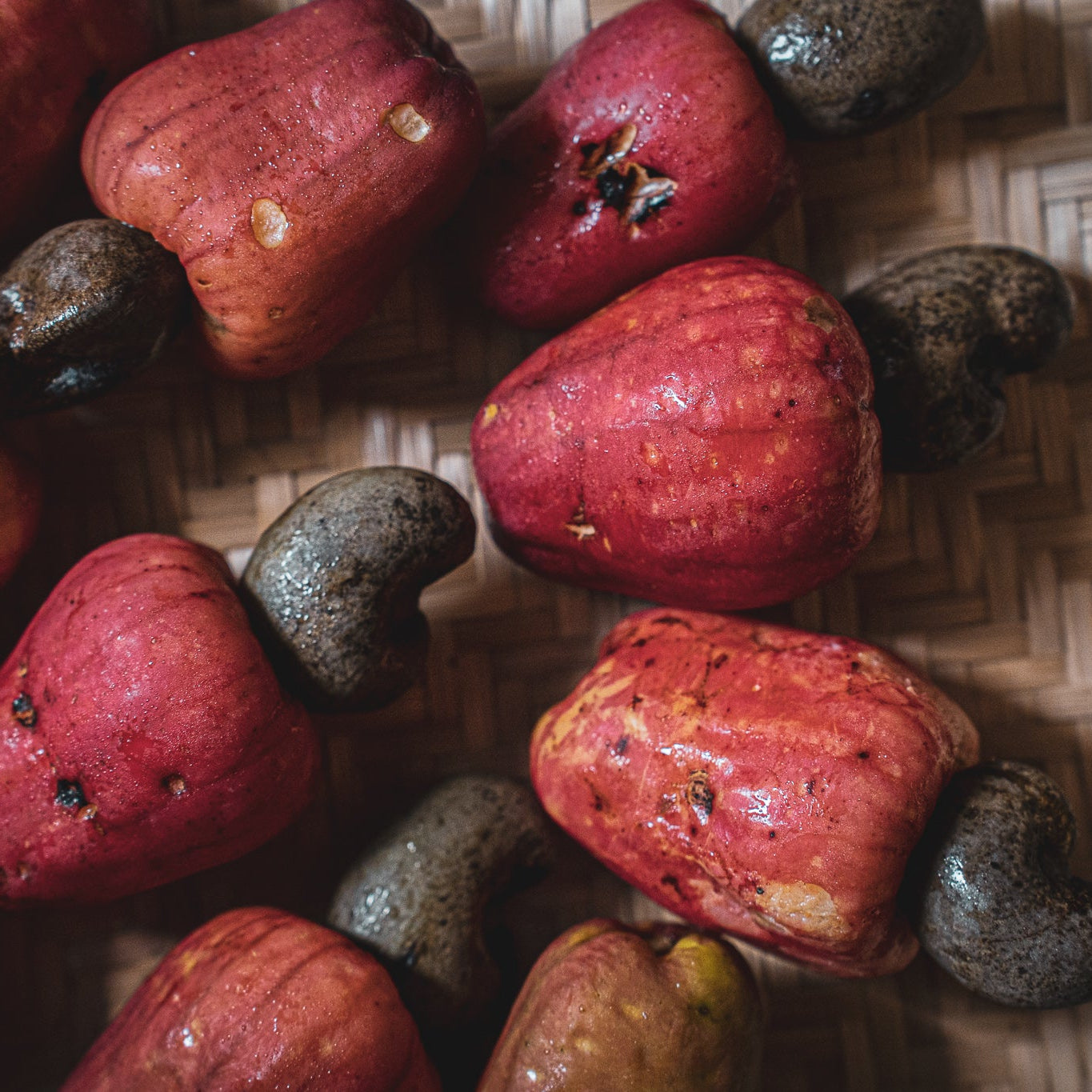 
                  
                    BOTANICALS｜Cashew
                  
                