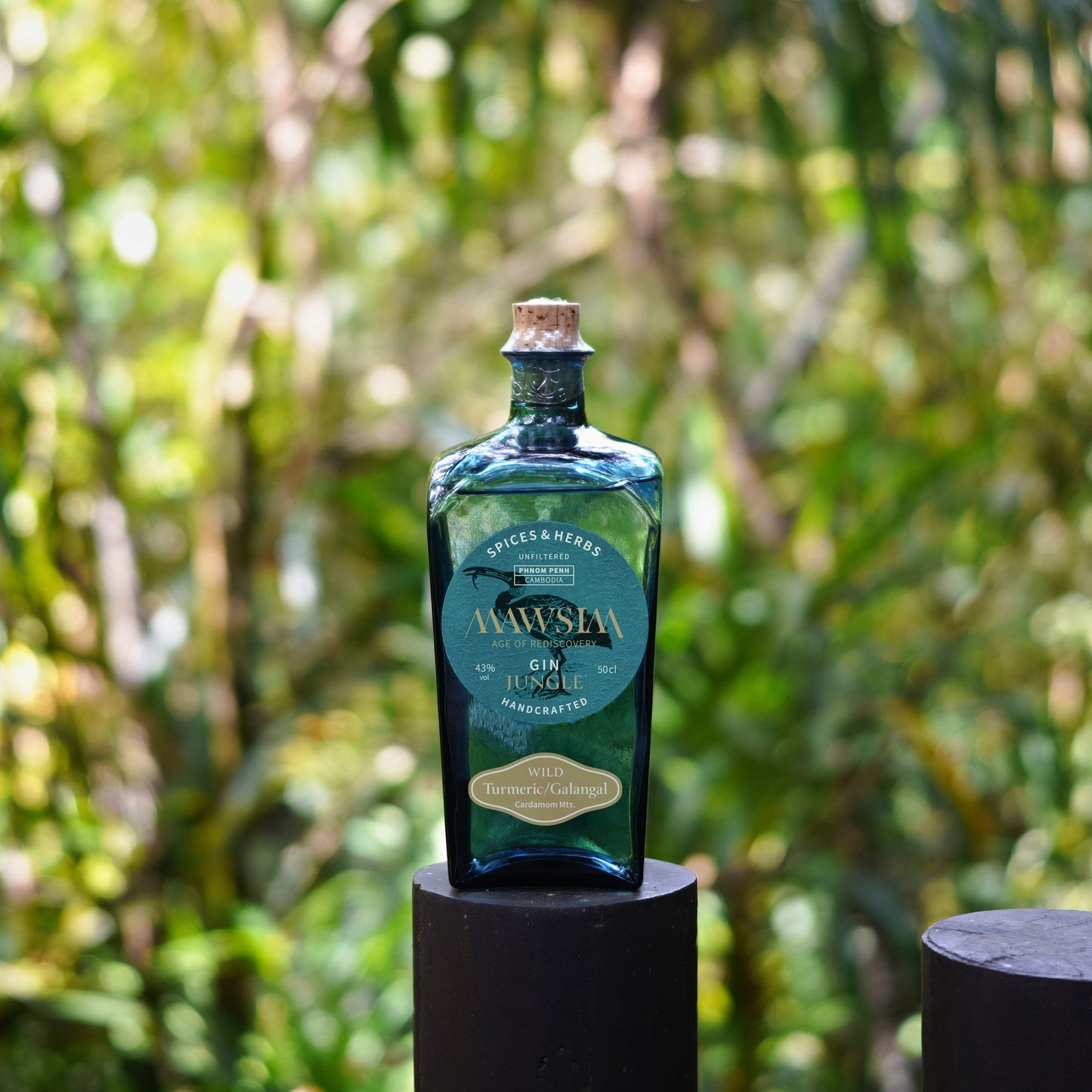 
                  
                    GIN｜Spices & Herbs Jungle
                  
                