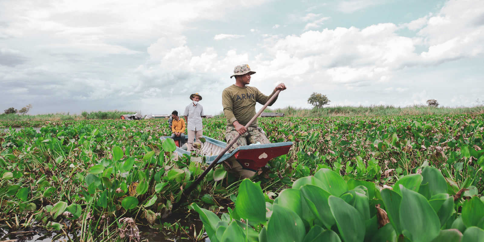 IT ALL STARTED WITH WATER HYACINTHのイメージ画像