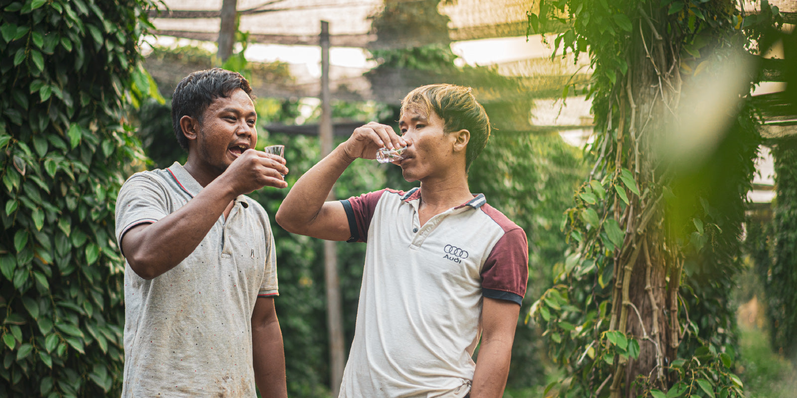 燃やすべきか、飲むべきかのイメージ画像